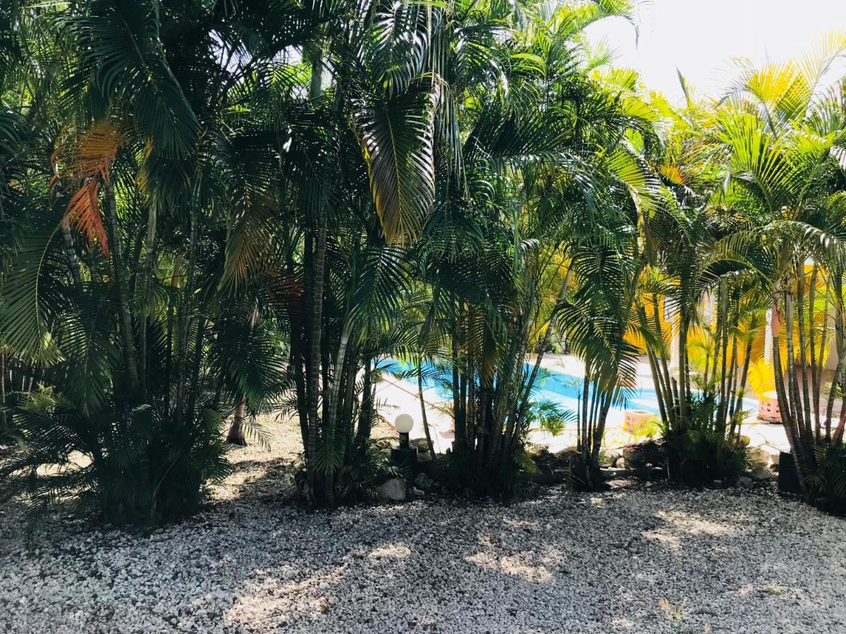 La De Maracuja De Coco *